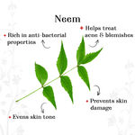 Buy Alps Goodness Purifying Face Scrub - Neem (29 gm) - Purplle