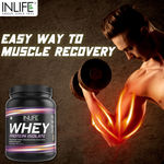 Buy INLIFE 100% Isolate Whey Protein Powder Supplement 27 grams protein per serving - 400 gm (Chocolate) - Purplle