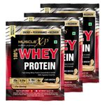 Buy MuscleXP 100% Whey Protein 15 Servings Pack - Cafe Mocha With Digestive Enzymes - Purplle