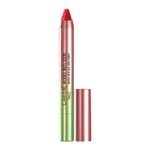 Buy Lakme 9 to 5 Naturale Matte Sticks Lipstick CrimsonTown (2.2 g) - Purplle
