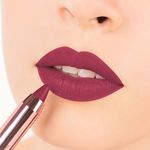 Buy Lakme 9 to 5 Naturale Matte Sticks Lipstick Nude Scape (2.2 g) - Purplle