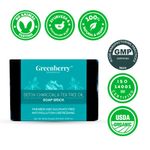 Buy Greenberry Organics Detox Charcoal & Tea Tree Oil Soap Brick (150 g) - Purplle