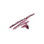Buy Colorbar Definer Lip Liner, Pure Vino 017 - Red (1.45 g) - Purplle