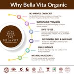 Buy Bella Vita Organic Pigmentation Blemish Removal Face Pack with Papaya, Aloe and Bentonite (60 g) - Purplle