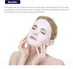 Buy MOND'SUB Witch Hazel+Lavender + Q10 Face Mask (Sheet 1) - Purplle