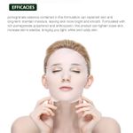 Buy MOND'SUB Pomegranate Firming Facial Mask (Sheet 1) - Purplle