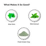 Buy Greenberry Organics Green Clay Mud Face Wash (100 ml) - Purplle