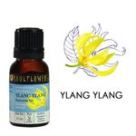 Buy Soulflower Essential Oil Ylang Ylang (15 ml) - Purplle