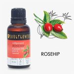 Buy Soulflower Coldpressed Rosehip Carrier Oil (30 ml) - Purplle
