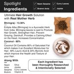 Buy Soulflower Coldpressed Bhringraj Hair Oil With Coconut and Sesame for damaged, frizzy hair, premature greying, baldness & hair loss , 100% Pure and Natural, Herby, 225 ml - Purplle
