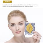 Buy Mond'Sub Gold Collagen Lip Mask Pack Of 10 - Purplle