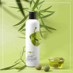Buy Plum Olive & Macadamia Rich Nourish Conditioner (300 ml) - Purplle