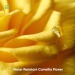 Buy Biolage Professional Smoothproof Anti-Frizz Conditioner, Up to 72HR Frizz Control, Conditioner for Dry and Frizzy Hair, With Camellia Flowers, 196g - Purplle