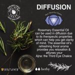 Buy Soulflower Essential Oil Rosemary (30 ml) - Purplle