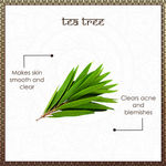Buy Vayam Ayurveda Pure Essential Oil - Tea Tree (10 ml) | Ayurvedic | Natural | Herbal | Pure | Sulphate free | Paraben Free - Purplle