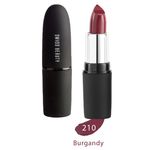Buy Swiss Beauty Pure Matte Lipstick (3 g) (Burgandy - 210)-SB-S6-210 - Purplle