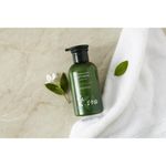 Buy Innisfree Essential Green Body Lotion (330 ml) - Purplle