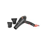 Buy Berina Professional Hair Dryer BC-5511 - Purplle