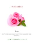 Buy Khadi Natural Ayurvedic Sandal & Rose Face Pack (50 g) - Purplle