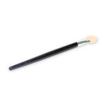 Buy Gorgio Professional Eye Shadow Applicator Brush 10 Pcs - Purplle