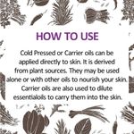 Buy Deve Herbes Pure Avocado Oil (Persea americana) 100% Natural Therapeutic Grade Cold Pressed (30 ml) - Purplle