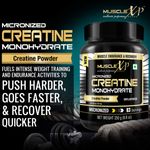 Buy MuscleXP Micronized Creatine Monohydrate Powder Unflavored, 250g (8.8oz) - 83 Servings - Purplle