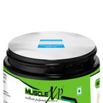 Buy MuscleXP Plant Protein - Natural Protein Powder with Pea Protein, Herbal and Vegetable Blend, 400g (Sugar Free) - Purplle