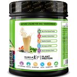 Buy MuscleXP Plant Protein - Natural Protein Powder with Pea Protein, Herbal and Vegetable Blend, 400g (Sugar Free) - Purplle