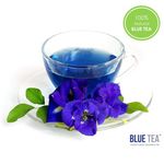 Buy Blue Tea Herbal Tea Gift Box 9 Handcrafted Pyramid Tea Bags For Anti Stress And Detox- Zero Caffeine- Flavor : Indian Chai Masala - Purplle