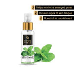 Buy Good Vibes Invigorating Face Mist - Peppermint (50 ml) - Purplle