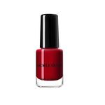 Buy NICOLE DIARY 1 Bottle Nail Stamping Polish Varnish Colorful Nail Art Plate Printing Polish Lacquer Manicure Nail Art Varnish (ND10) (6 ml) - Purplle