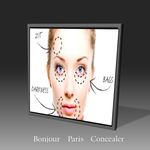 Buy Bonjour Paris Concealer Pan stick - Nude Skin (4.2 g) - Purplle