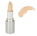 Buy Bonjour Paris Concealer Pan stick - Natural Skin (4.2 g) - Purplle