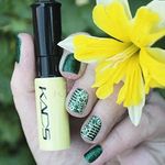 Buy KADS Stamp polish 1 Bottle Nail Polish & stamping polish nail art pen 31 colors Optional More engaging 4 Season gorgeous (KS-3) (10 g) - Purplle