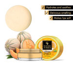 Buy Good Vibes Lip Balm - Melon (8 gm) - Purplle