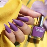 Buy Bella Voste Matte Nail Paints Royal Orchid (9 ml) - Purplle