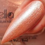 Buy Bella Voste Premium Nail Paints Secret Gloss (9 ml) - Purplle