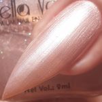 Buy Bella Voste Nail Paints Flamingo (9 ml) - Purplle