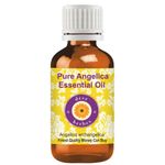 Buy Deve Herbes Pure Angelica Essential Oil (Angelica archangelica) 100% Natural Therapeutic Grade Steam Distilled(10 ml) - Purplle