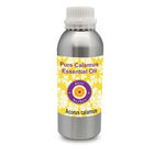 Buy Deve Herbes Pure Calamus Essential Oil (Acorus calamus) 100% Natural Therapeutic Grade Steam Distilled (630 ml) - Purplle