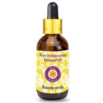 Buy Deve Herbes Pure Frankincense Essential Oil (Alpha Thujene 70%) Boswellia serrata with Glass Dropper Natural Therapeutic Grade Steam Distilled 30ml - Purplle