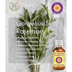Buy Deve Herbes Pure Rosemary Essential Oil (Rosmarinus officinalis) Natural Therapeutic Grade Steam Distilled (100 ml) - Purplle
