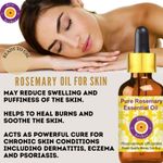 Buy Deve Herbes Pure Rosemary Essential Oil (Rosmarinus officinalis) Natural Therapeutic Grade Steam Distilled (100 ml) - Purplle