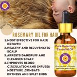 Buy Deve Herbes Pure Rosemary Essential Oil (Rosmarinus officinalis) Natural Therapeutic Grade Steam Distilled (100 ml) - Purplle