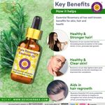 Buy Deve Herbes Pure Rosemary Essential Oil (Rosmarinus officinalis) Natural Therapeutic Grade Steam Distilled (100 ml) - Purplle