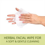 Buy Roop Mantra Herbal Facial Wipes (15 Wipes) Parabens & Alcohol Free - Purplle