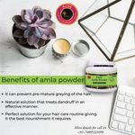 Buy Avnii Organic's 100% Pure Amla Powder, Good For Hair Wash & Treatment, (200 g) - Purplle
