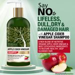 Buy Morpheme Remedies Apple Cider Vinegar Shampoo (No Sulfate, Paraben or Silicon)(300 ml) - Transforms Dull, Tired & Dry Hair into Soft, Smooth & Silky - Purplle
