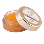 Buy Khadi Natural Ayurvedic Peach Lip Balm (5 g) - Purplle