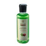 Buy Khadi Shuddha Green Tea Apple Shampoo+Conditioner (210 ml) - Purplle